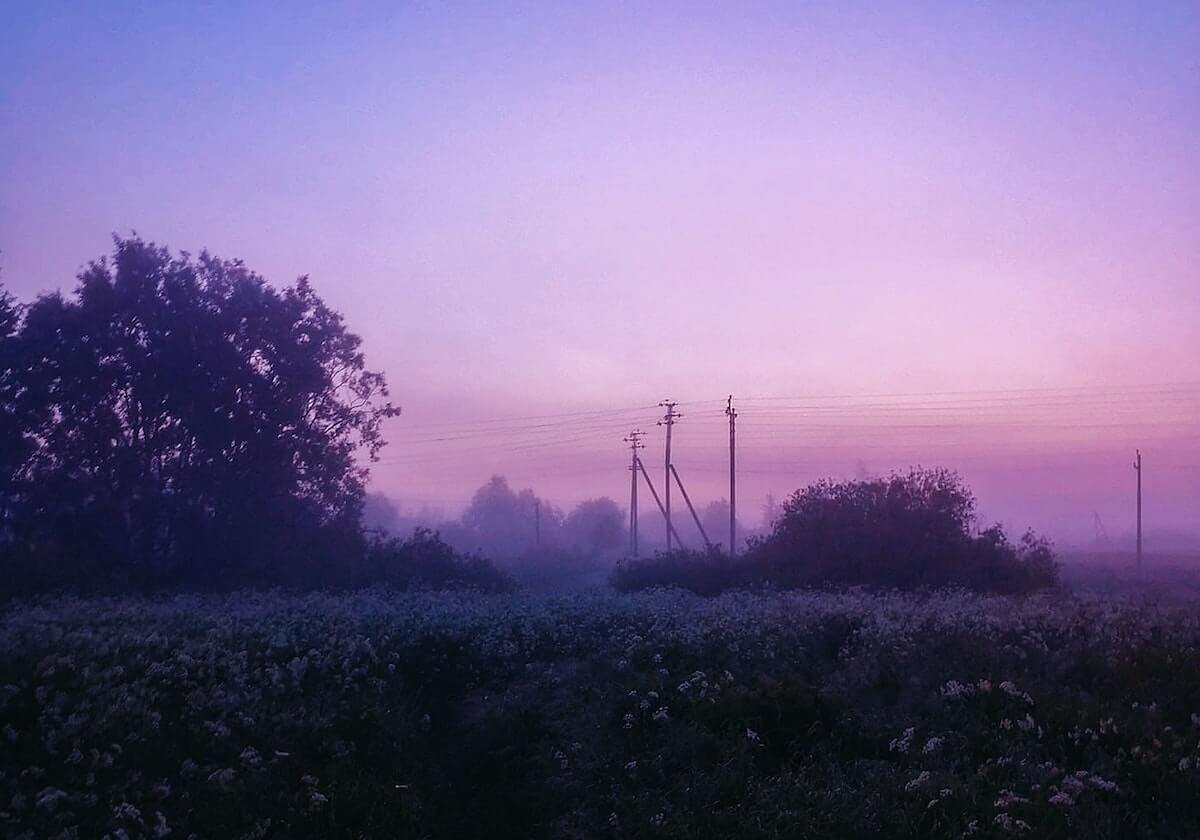 赛事直播——让每一场比赛都触手可及